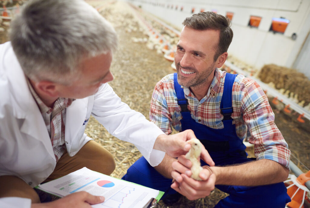 consulenza-finanziamenti-agricoltura consulenza finanziamenti agricoltura e allevamenti sostenibili